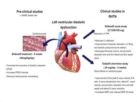 what is preserved systolic function